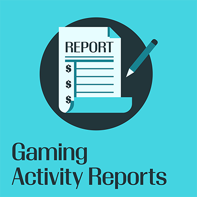 infographic depicting Gaming Activity Report brochure